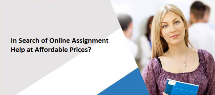 Online Assignment Help at Affordable Prices